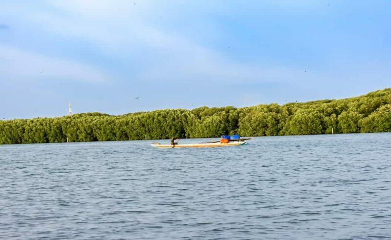 Negombo: Sunset lagoon boat tour with hotel transfers - The Sum Up