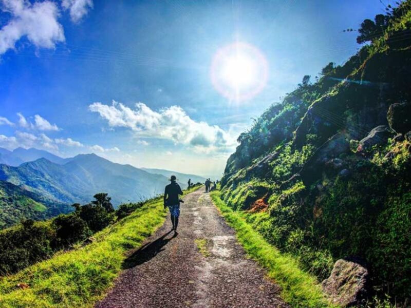 Negombo to Knuckles: Overnight Trekking & Hiking Adventure - Day 2 Itinerary