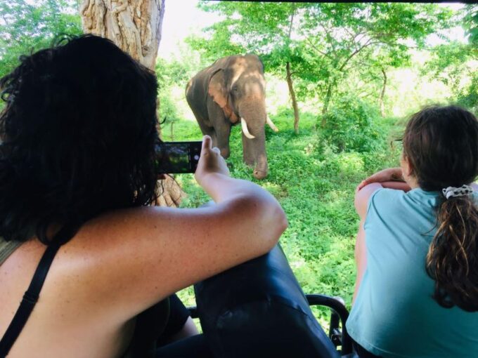 Negombo To: Sigiriya, Dambulla & Minneriya Park Safari Tour - Cultural Exploration