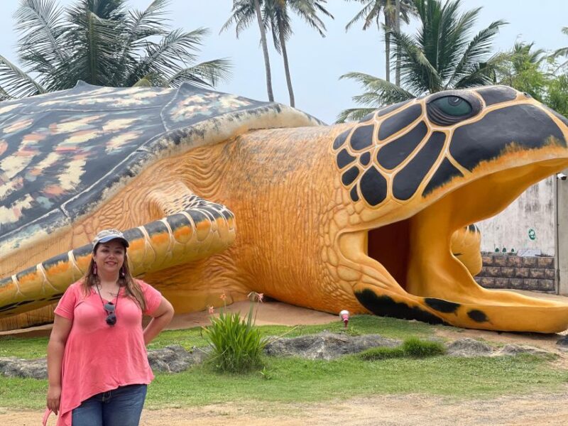 Negombo: Turtle Hatchery, River Safari, Moon Stone & Galle - Key Points