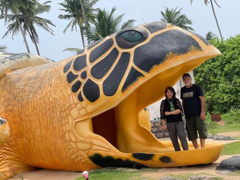 Negombo: Turtle Hatchery, River Safari, Moon Stone & Galle - Activities and Experiences