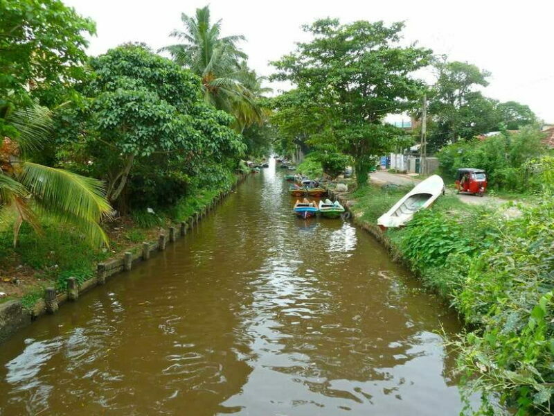 Negombo:Dutch Canal, Lagoon, Muthurajawela Private Boat Tour - Key Points