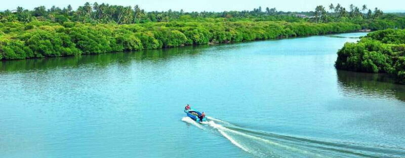 Negombo:Dutch Canal, Lagoon, Muthurajawela Private Boat Tour - The Sum Up