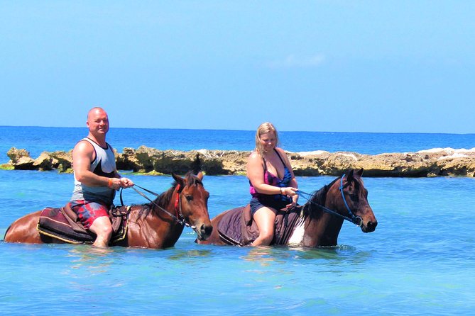 Negril 45-minute Guided Horseback Ride and Swim - Positive Feedback