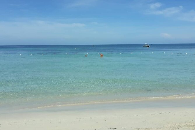 Negril 7 Miles Beach and Ricks Cafe Tour - Private Transportation Details