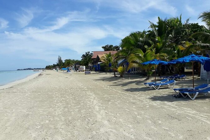 Negril 7 Miles Beach and Ricks Cafe Tour - Accessibility and Fitness