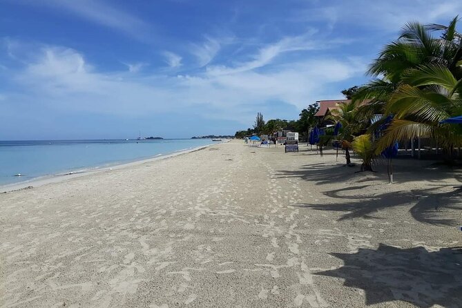 Negril 7 Miles Beach and Ricks Cafe Tour - Exploring Jamaicas Beauty