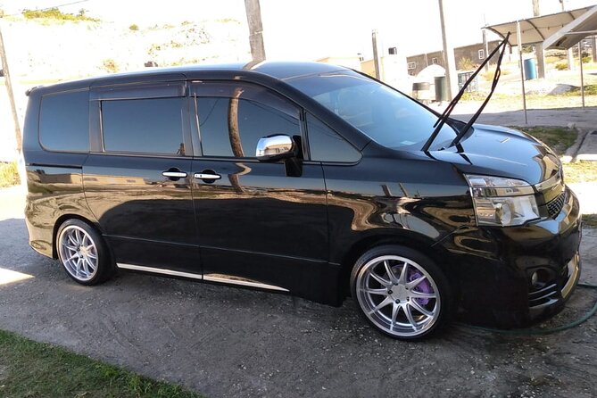 Negril Airport Private Transfer - Accessibility and Participation