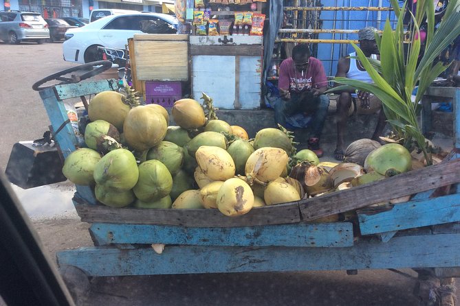 Negril Country Side Tour & Ricks Cafe - About Your Stay
