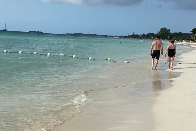 Negril Day! Beach and West End Cliffs With French Guide - Hassle-Free Airport Pickup and Dropoff