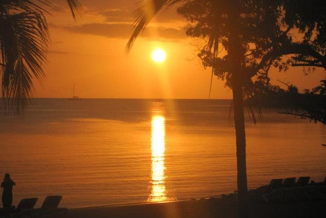 Negril Day Trip From Ocho Rios - Logistics and Booking