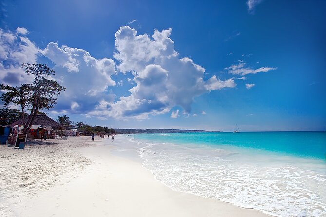 Negril Full-Day Private Tour From Montego Bay With Lunch - Important Tour Information