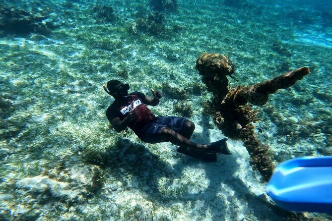 Negril Glass Bottom Boat Tour Snorkeling and Booby Cay - Key Points