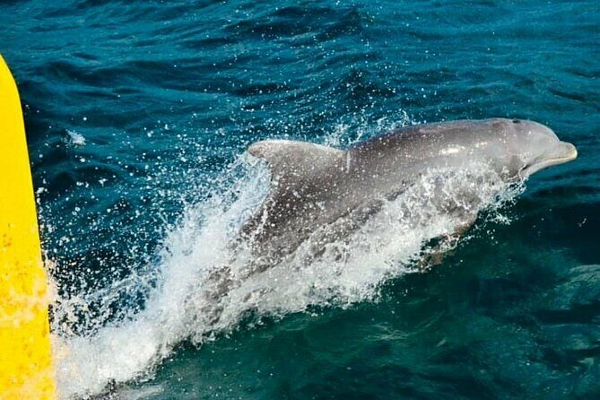Negril: MORNING FAMILY Cruise Caves Swimming Snorkeling - Value and Practicalities