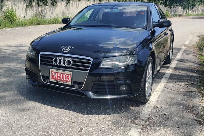 Negril Private Airport Transfer - Who Should Consider This Service?