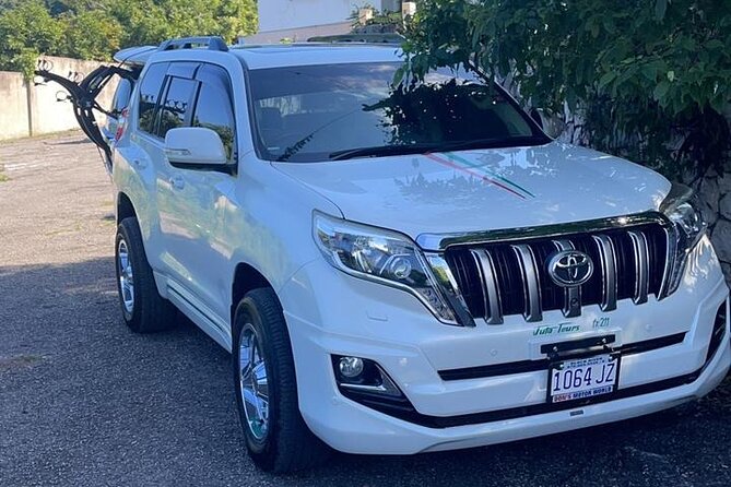 Negril Private Airport Transfer - Customer Reviews and Experiences