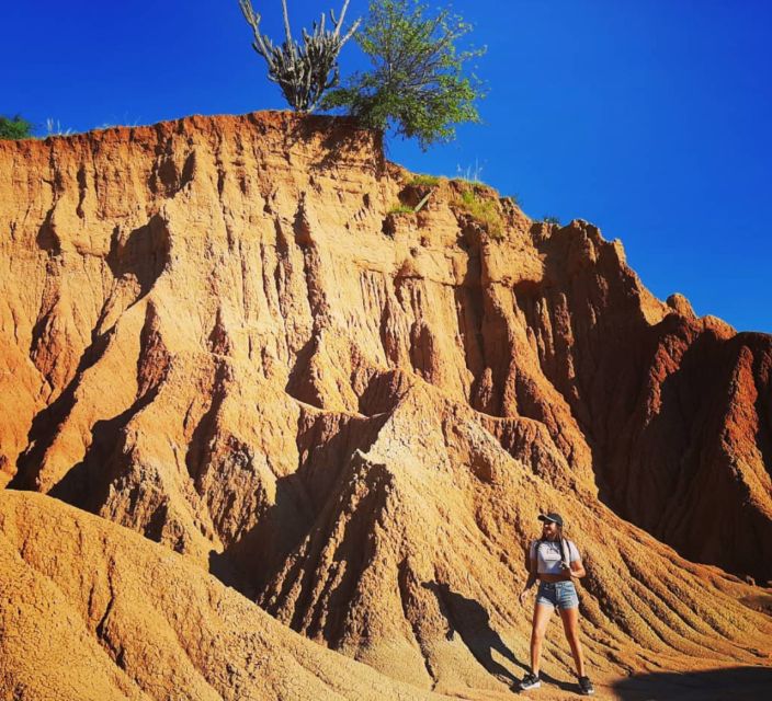 Neiva: Guided Day Trip to the Tatacoa Desert With Lunch - Included in the Tour Package