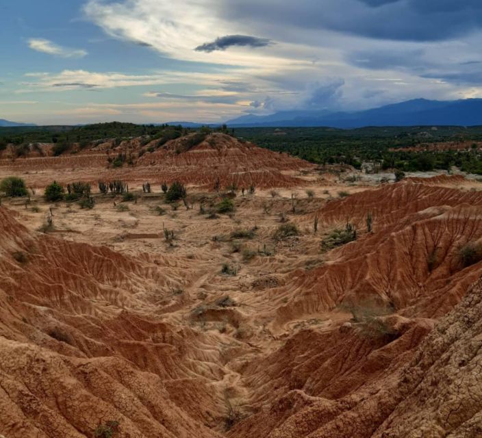 Neiva: Guided Day Trip to the Tatacoa Desert With Lunch - Participant Restrictions and Requirements