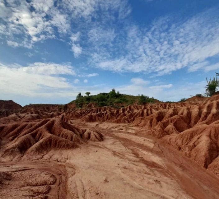 Neiva: Guided Day Trip to the Tatacoa Desert With Lunch - Key Points