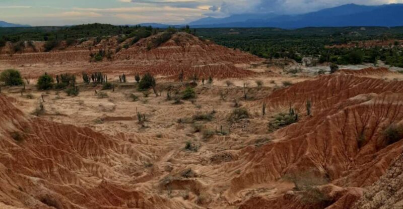 Neiva: Guided Day Trip to the Tatacoa Desert With Lunch - Included in the Tour Package