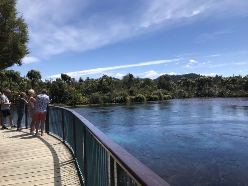 Nelson: Abel Tasman Cruise-Fly Day Tour - Itinerary Highlights