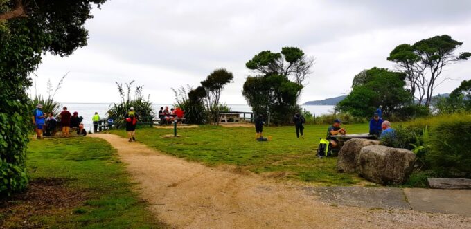 Nelson: Abel Tasman Cruise-Fly Day Tour - Tour Operator Information