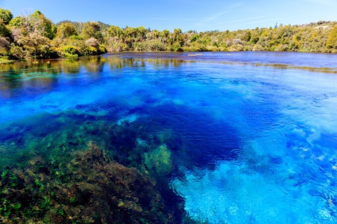 Nelson: Abel Tasman Cruise-Fly Day Tour - Destination Highlights