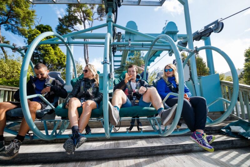 Nelson: Cable Bay Adventure Park Skywire Experience - Key Points