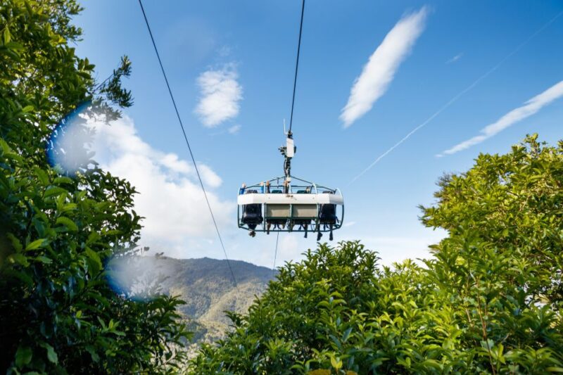 Nelson: Cable Bay Adventure Park Skywire Experience - Ride Details