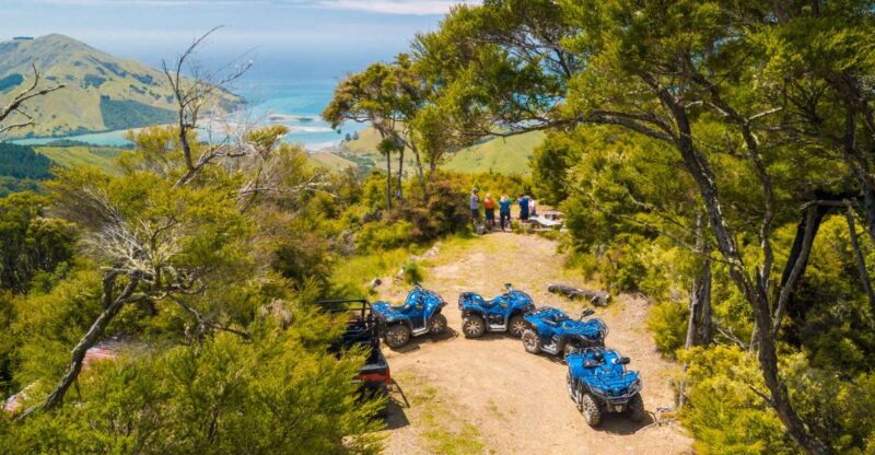 Nelson: Guided Quad Biking Tour Through Forest and Farmland - Key Points