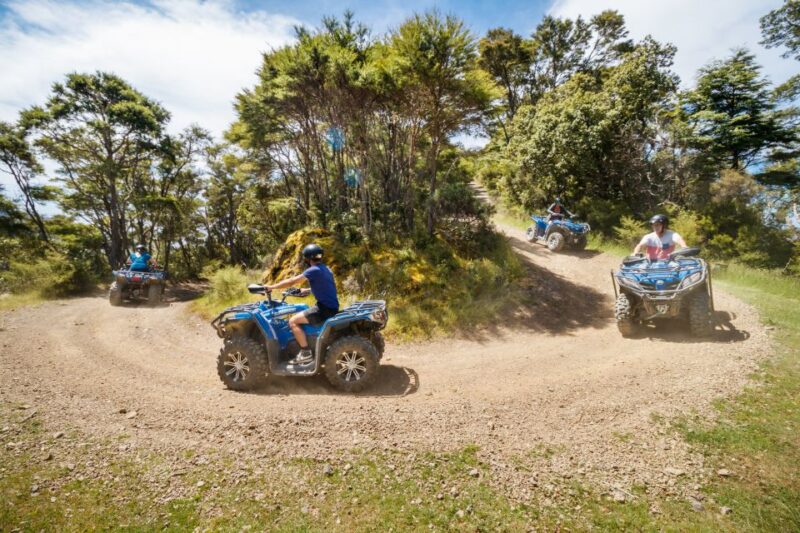 Nelson: Guided Quad Biking Tour Through Forest and Farmland - Pricing and Duration