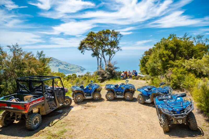 Nelson: Guided Quad Biking Tour Through Forest and Farmland - Itinerary and Activities