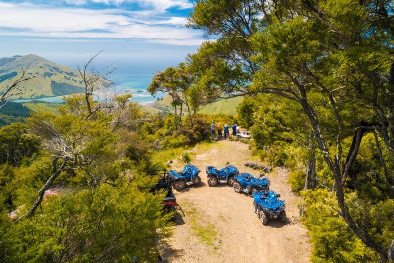 Nelson: Guided Quad Biking Tour Through Forest and Farmland - Driving Requirements