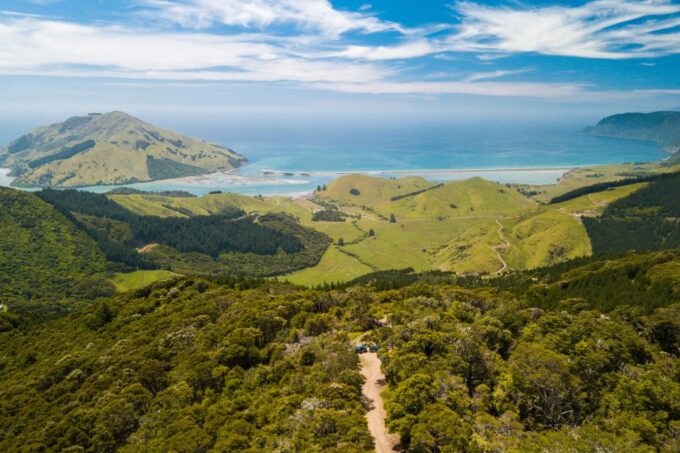 Nelson: Guided Quad Biking Tour Through Forest and Farmland - Recap