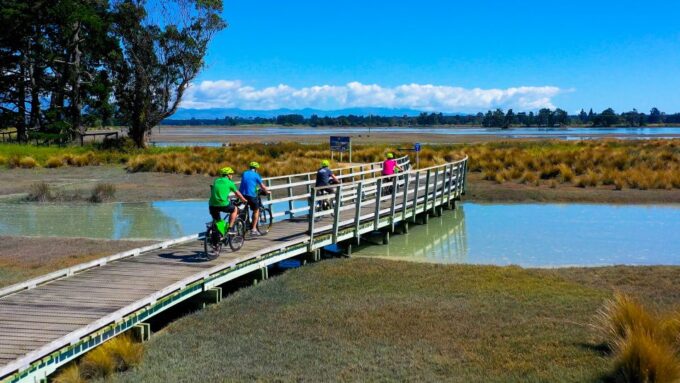Nelson to Mapua: Full-Day Cycling Self-Guided Adventure - Trail Route and Highlights