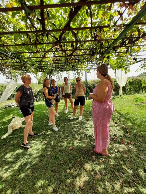 Nemea, Corinth: Bike & Wine Guided Day Tour From Athens - Corinth Canal Photo Stop