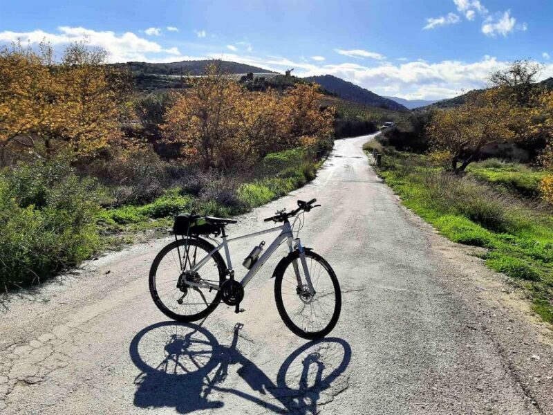 Nemea, Corinth: Bike & Wine Guided Day Tour From Athens - Nemea Wine Region Exploration
