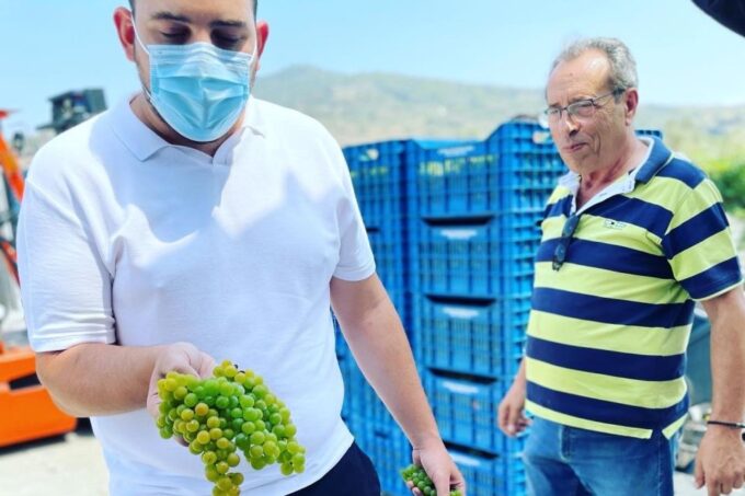 Nemea: Premium Wine Tour - Cancellation and Refund Policy