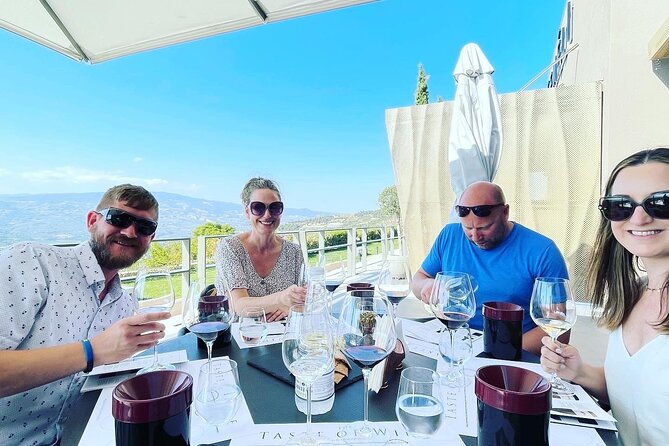 Nemea Wine Tour From Athens, Nafplio or Nemea With Oenologists - Exploring Nemeas Wine Region