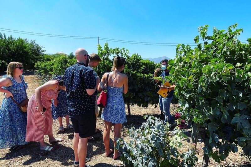 Nemea: Wine Tour - Winemaking Process Insights