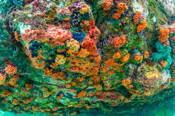 Nemo Island Experience With Drone Photos and Lunch - Culinary Delights on Nemo Island