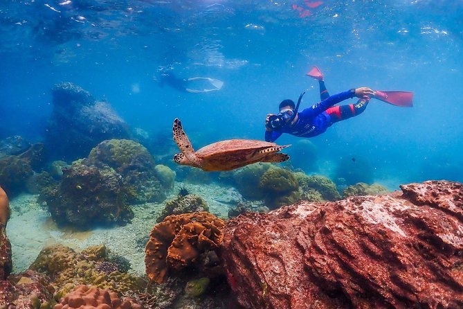Nemo Island Experience With Drone Photos and Lunch - Booking and Pricing Details