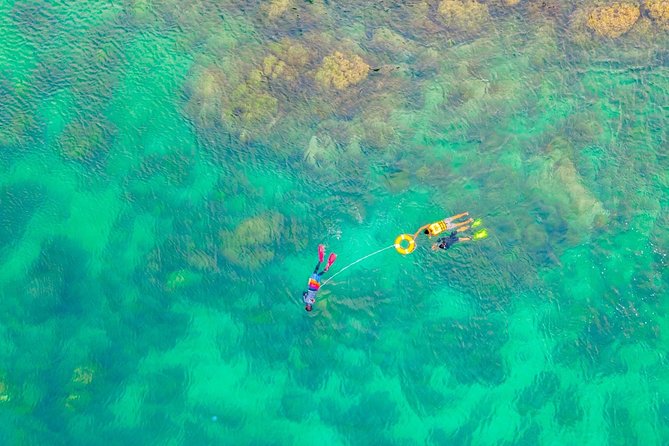Nemo Island Experience With Drone Photos and Lunch - Previous Traveler Testimonials