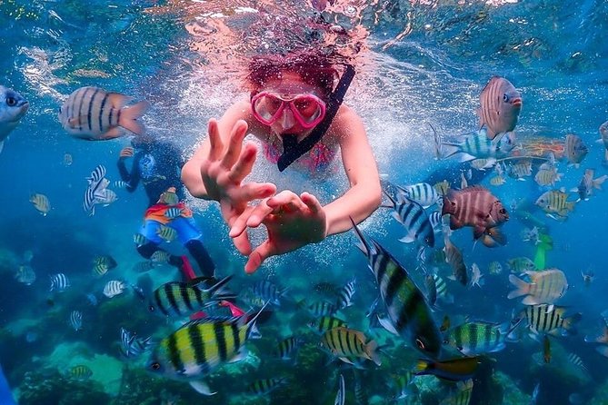Nemo Island Experience With Drone Photos and Lunch - Preparing for Your Nemo Island Visit