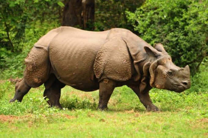 Nepal: 10 -Day Cultural & Natural Highlights Tours in Nepal - Visiting UNESCO World Heritage Sites