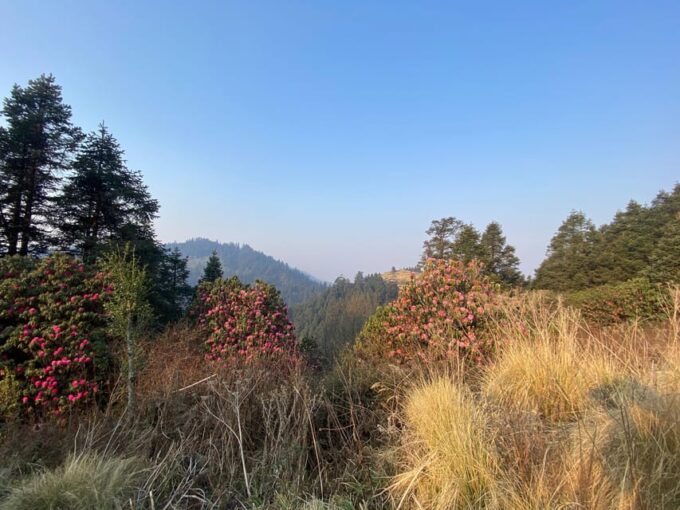 Nepal: 12 Days of Culture, Wildlife & Himalayan Trekking - Discovering Pokhara