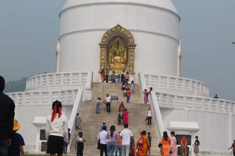 Nepal: 7 Day Luxurious Kathmandu Pokhara Chitwan Tour - Accommodation and Transfers