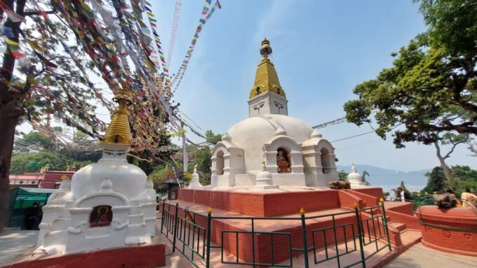 Nepal: 7 Day Luxurious Kathmandu Pokhara Chitwan Tour - Accessibility and Limitations