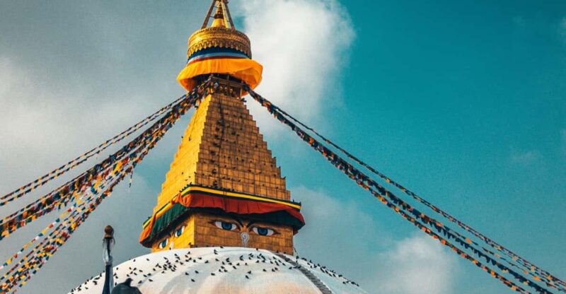 Nepal: 9-Day Private Tour With Accommodation & Meals - Exploring Chitwan National Park