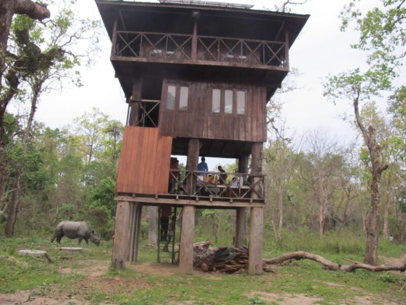 Nepal: Chitwan National Park 3-Day Jungle Tower Stay - Important Information